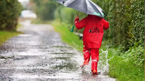 Πενήντα πράγματα που έμαθα κι αυτόν τον Νοέμβριο...