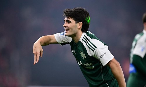 Το δέντρο και το δάσος