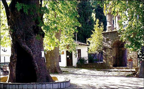 Η σπάνια τύχη μας