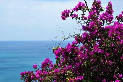 Η χαμένη άνοιξη