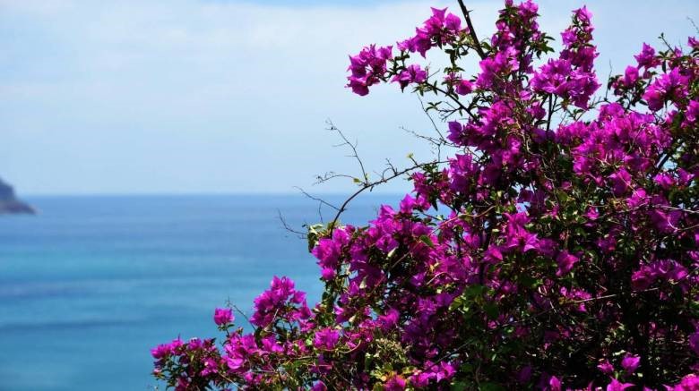 Η χαμένη άνοιξη