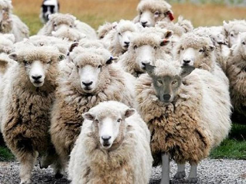 Πενήντα πράγματα που έμαθα κι αυτό το Πάσχα